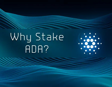 Why Stake ADA?
